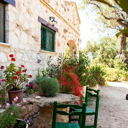 فيلة Il Belvedere Di *