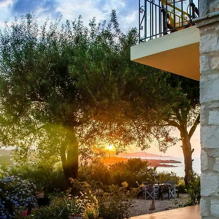 فيلة Il Belvedere Di